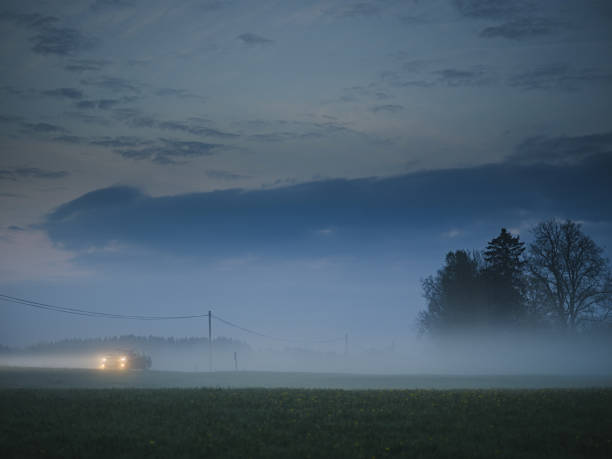 Car on foggy road in evening