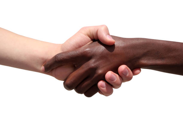 Black and white human hands stock photo