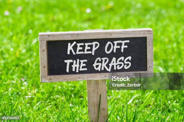 Sign On A Green Lawn Keep Off The Grass Stock Photo - Download Image Now - Keep Off Lawn Sign, Grass, Keep Out Sign