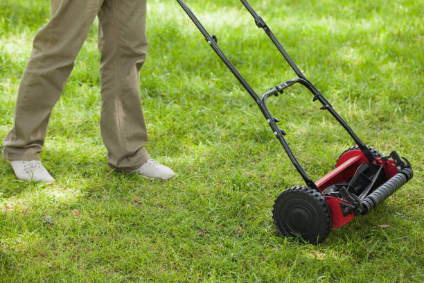istock Person moving the lawn 692147006