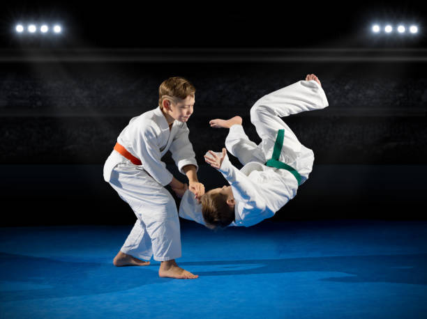 istock Two boys martial arts fighters 692153736