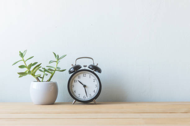 istock Indoor plant in a white ceramic pot on old wooden table 692154668