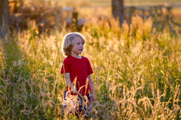 cute blonde child in a field at sunset