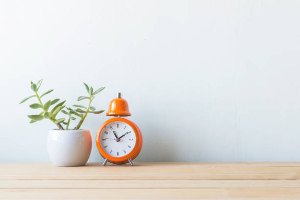istock Indoor plant in a white ceramic pot on old wooden table 692154992