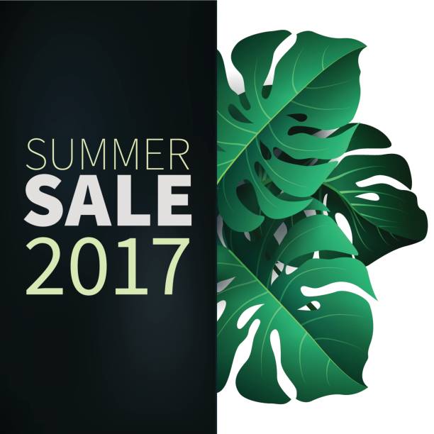 hallo sommer, sommer. das text-plakat vor dem hintergrund der tropischen pflanzen. das plakat für verkauf und werbung zeichen.  vektor-illustration. - rainforest palm tree leaf plant stock-grafiken, -clipart, -cartoons und -symbole