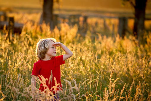 cute smiling blonde haired  5 year old caucasian boy standing in a field at sunset being back lit by the setting sun.