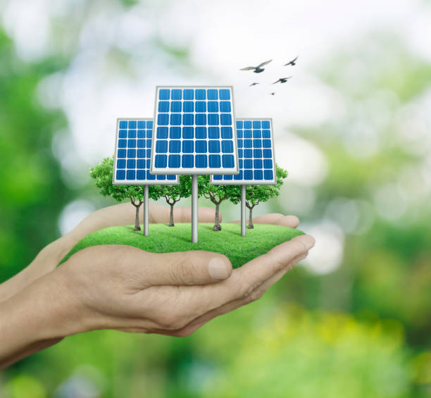 istock Solar cell in man hands over blur green tree with birds, Ecological concept 692155736