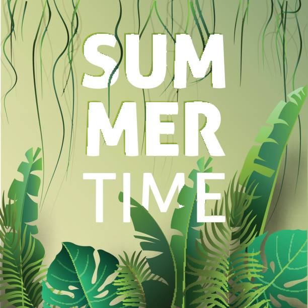 hallo sommer, sommer. das text-plakat vor dem hintergrund der tropischen pflanzen. vektor-illustration. - rainforest palm tree leaf plant stock-grafiken, -clipart, -cartoons und -symbole