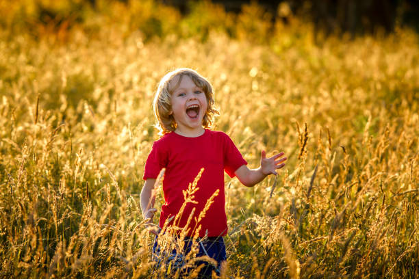 istock cute blonde child in a field at sunset 692158212