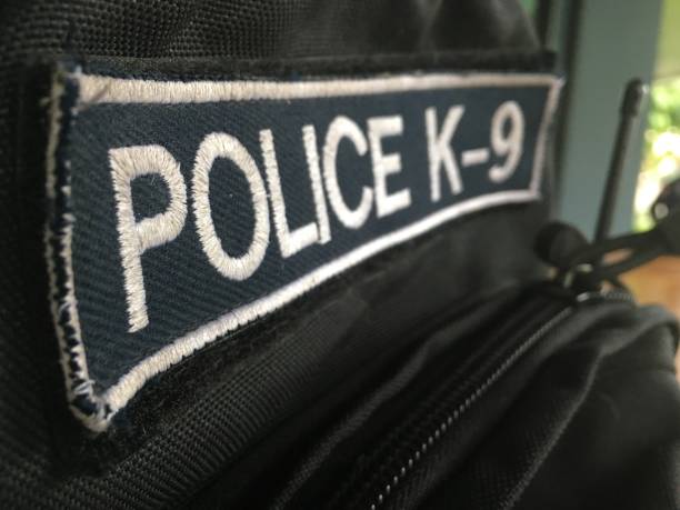 police k-9 badge