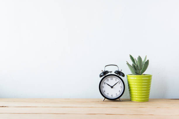 istock Plants and alarm clock on a white wall shelf 692165298