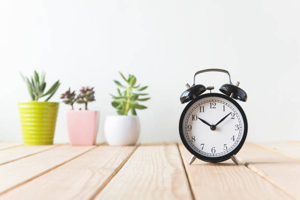 istock Plants and alarm clock on a white wall shelf 692165658
