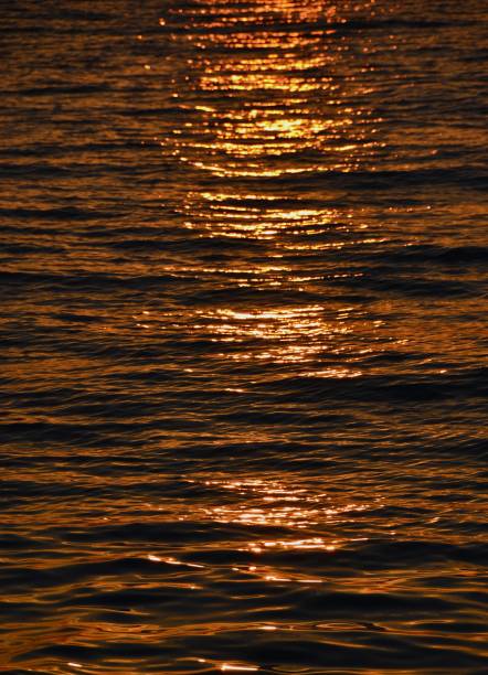 The sunset over the sea is reflected in the waves