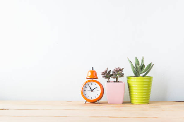 istock Plants and alarm clock on a white wall shelf 692169440