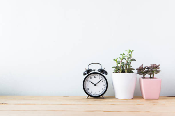istock Plants and alarm clock on a white wall shelf 692171862