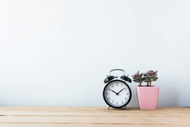 istock Plants and alarm clock on a white wall shelf 692171894
