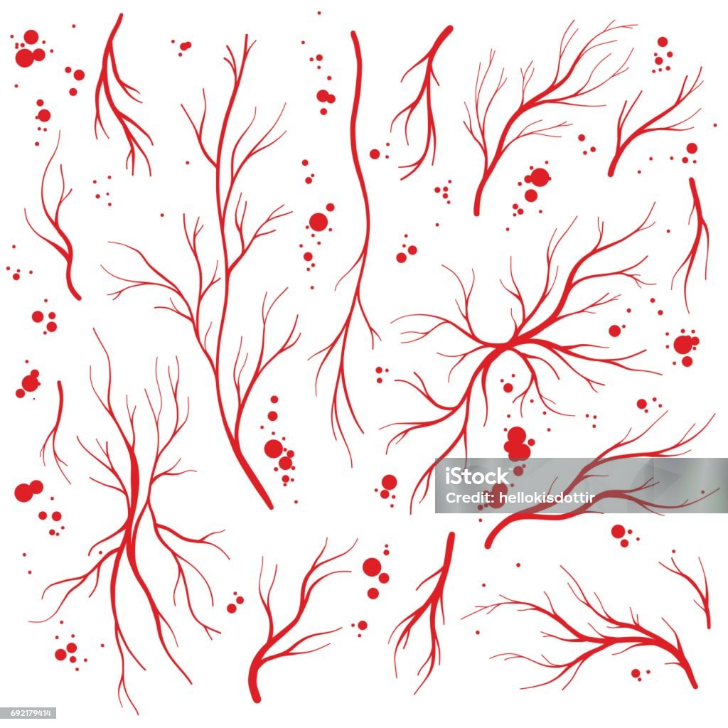 Human eye veins, arteries and blood drops vector set Human eye veins, arteries and red blood drops. Blood system vector set, blood veins isolated on white background. Blood Vessel stock vector