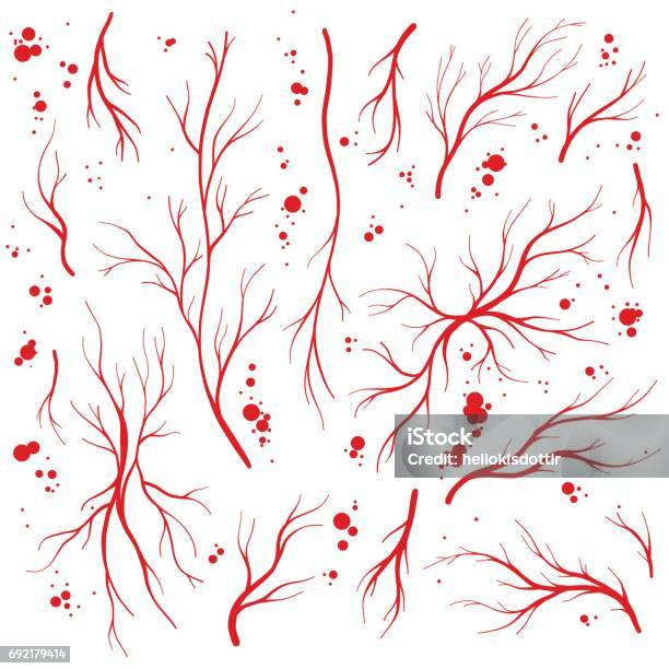 Human Eye Veins Arteries And Blood Drops Vector Set Stock Illustration - Download Image Now