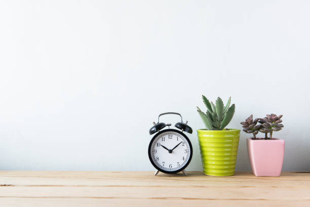 istock Plants and alarm clock on a white wall shelf 692179536