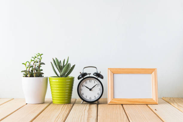 istock Plants and alarm clock on a white wall shelf 692179582