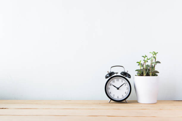 istock Plants and alarm clock on a white wall shelf 692179720
