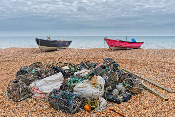 istock Catch of the day. 692182088