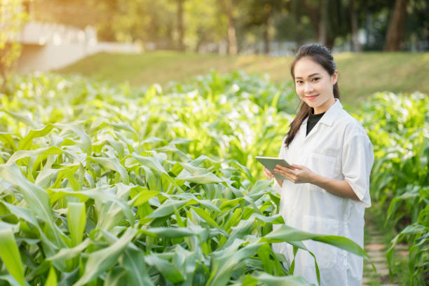 istock Biotechnology woman engineer examining plant leaf for disease 692192234