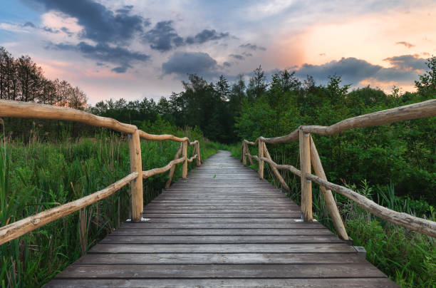 istock Wooden path bridge over lake at sunset after the storm 692192256
