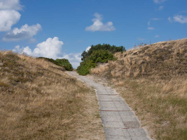 istock the beach of spiekeroog 692196074