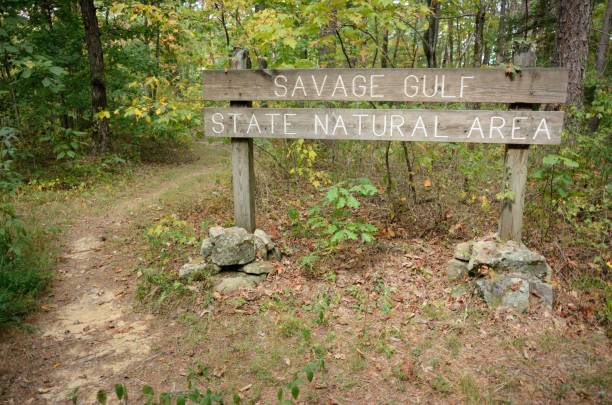 istock Savage Gulf State Natural Area 692197492
