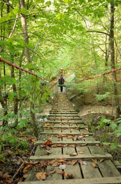 istock Young woman with backpack on suspension bridge trail 692197530