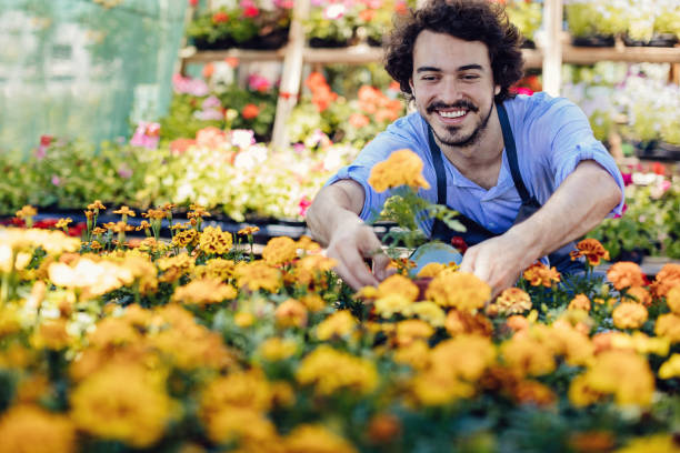 istock Smiling gardener in the garden center 692200204