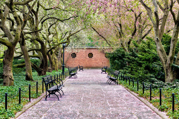 istock Central Park Spring - New York City 692200500