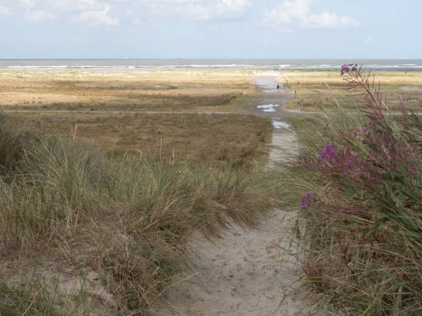 istock the beach of spiekeroog 692201142