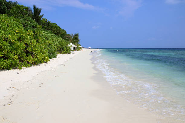 istock Beautiful beach on Ukulhas at Maldives 692201356
