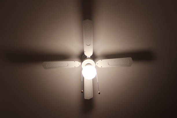 istock Ceiling fan with light. Decorative ventilation with lamps 692201646
