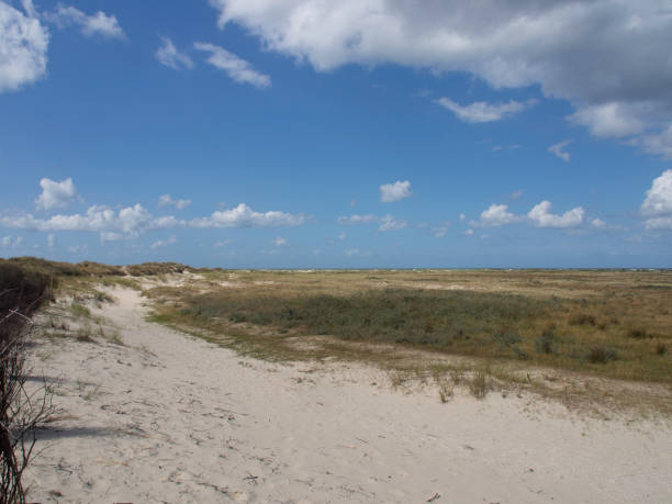 istock the beach of spiekeroog 692201756