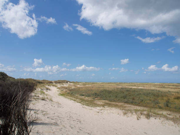 istock the beach of spiekeroog 692201860