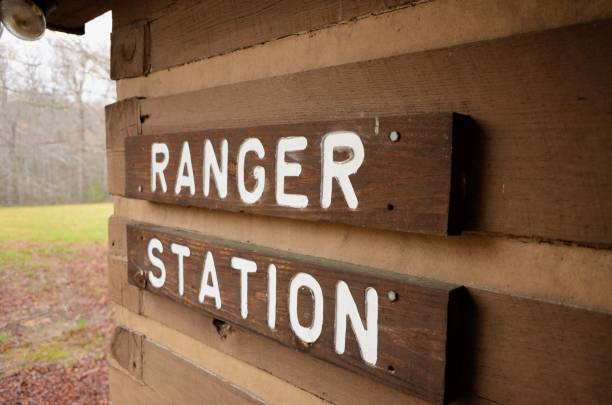 Biologist park ranger is identifying and recording species of the rare plant in the evergreen conifer forest for native and invasive biodiversity organism and food security