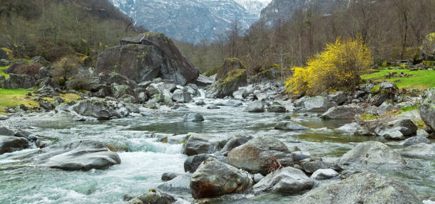 hermoso río en cantón ticino, suiza - riverbed switzerland valley stone fotografías e imágenes de stock