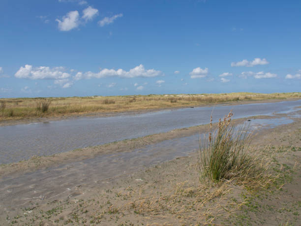istock the beach of spiekeroog 692212078