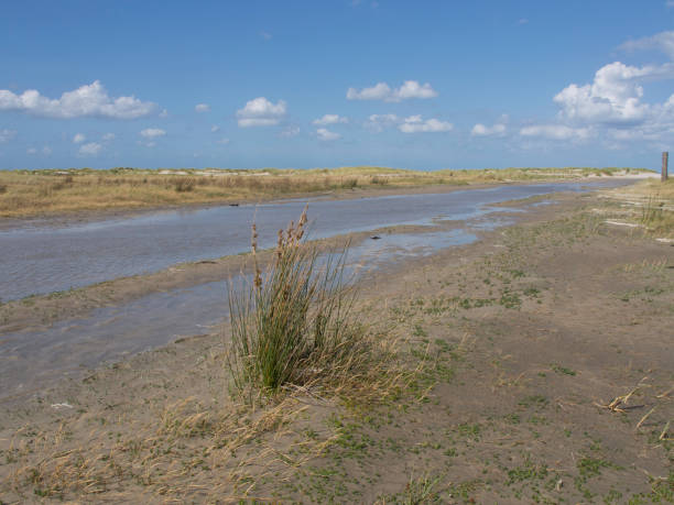 istock the beach of spiekeroog 692217218
