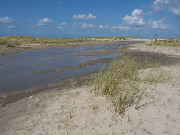 istock the beach of spiekeroog 692217426