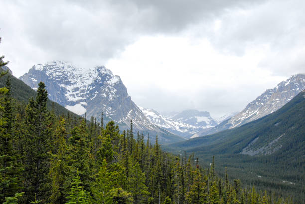 istock Mountain Range in the Spring, Jasper, Canadian Rockies, Alberta, Canada 692217886
