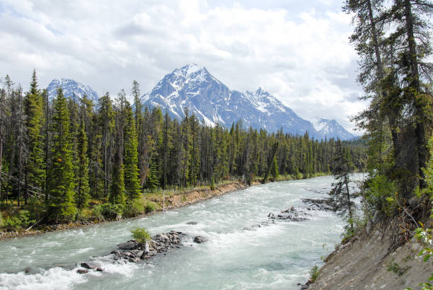 istock River in the Spring, Jasper National Park,Canadian Rockies, Alberta, Canada 692218012