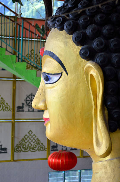 istock Enlightened Heart Tibetan Temple, Perak, Malaysia 692220168
