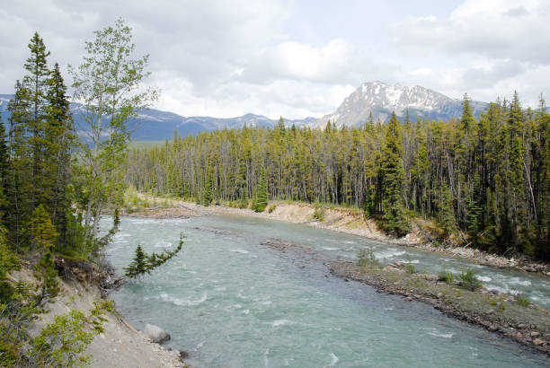 istock River in the Spring, Jasper National Park,Canadian Rockies, Alberta, Canada 692220248