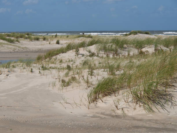 istock the beach of spiekeroog 692221336