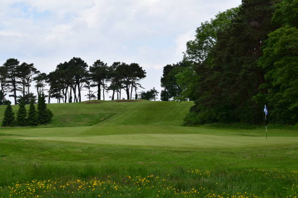istock Fairway and green with flag 692221594