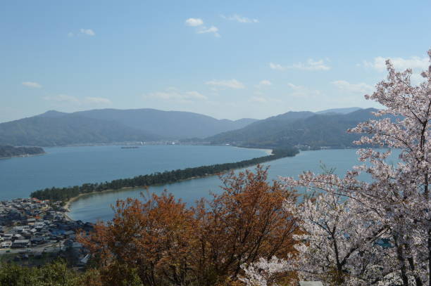 istock Sunny spring day, Amanohashidate with Cherry tree seen from the observatory. 692224354
